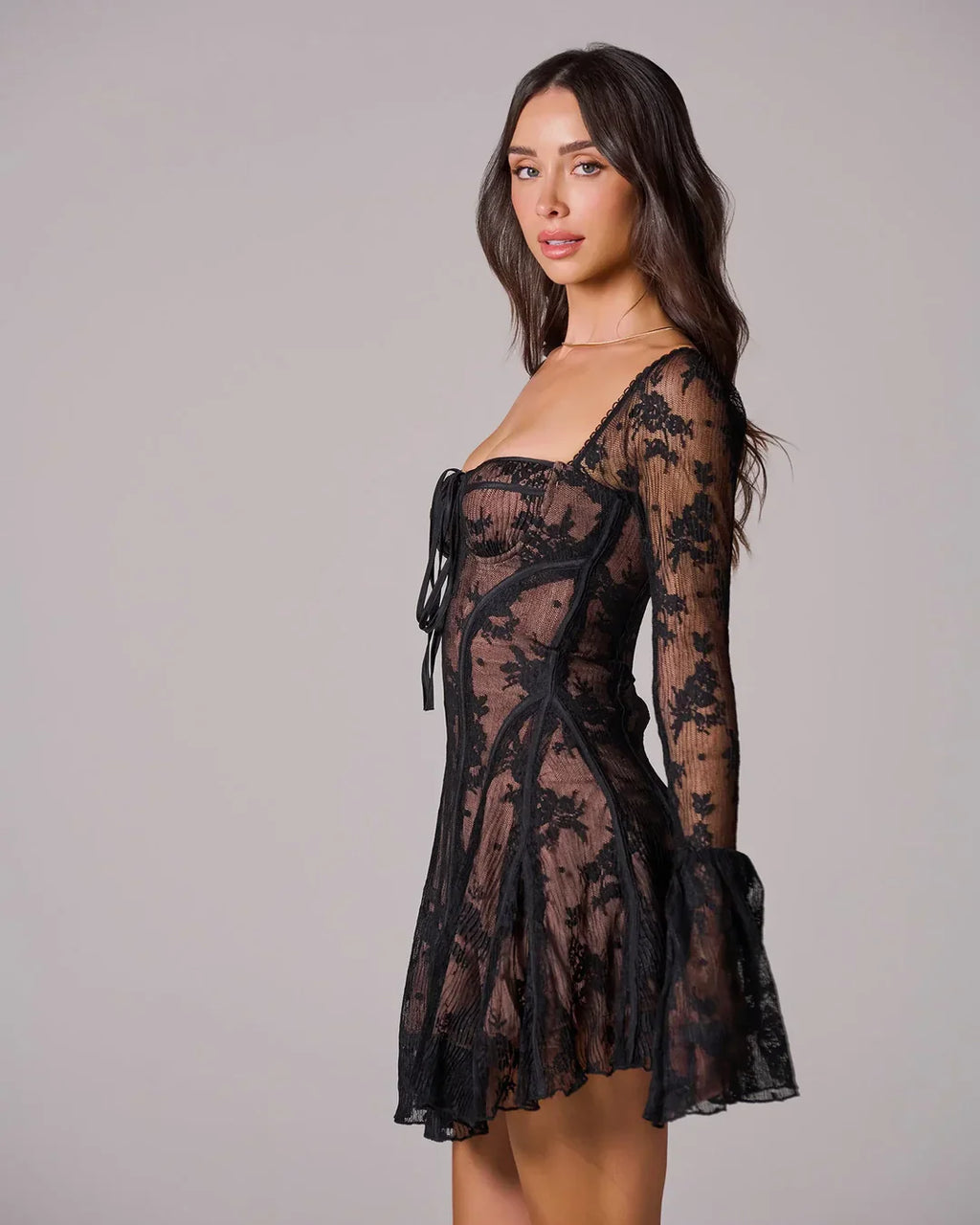 Long Sleeve Romantic Lace Mini Dress