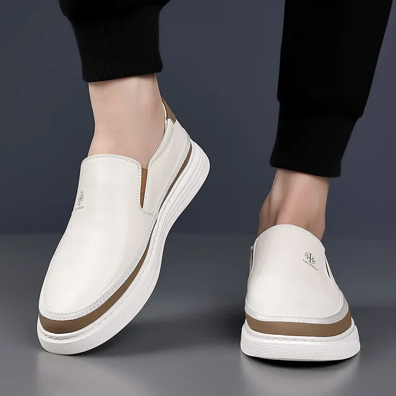 Mens Slip On Sneaker Two Color Eight Size